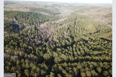 0 - Tract 1 Mt Zion Church Road, Whitesburg, GA 30185 - Photo 4