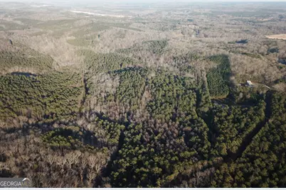 0 - Tract 1 Mt Zion Church Road, Whitesburg, GA 30185 - Photo 10