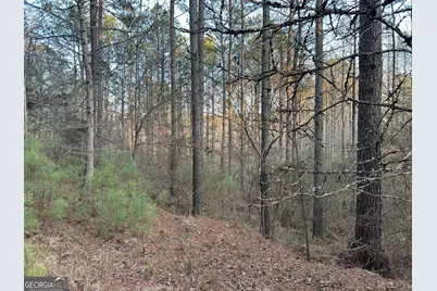 0 - Tract 1 Mt Zion Church Road, Whitesburg, GA 30185 - Photo 26