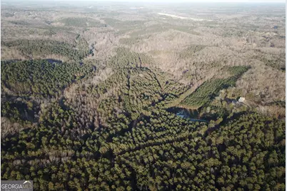 0 - Tract 1 Mt Zion Church Road, Whitesburg, GA 30185 - Photo 8