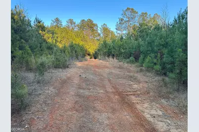 0 - Tract 1 Mt Zion Church Road, Whitesburg, GA 30185 - Photo 22