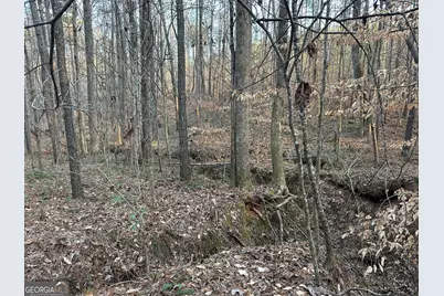 0 - Tract 1 Mt Zion Church Road, Whitesburg, GA 30185 - Photo 24