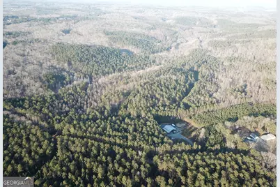 0 - Tract 1 Mt Zion Church Road, Whitesburg, GA 30185 - Photo 6