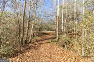 126 Pineworth Pointe Dr, Macon, GA 31216 - Photo 48