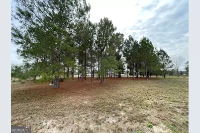 141 James English Road, Cochran, GA 31014 - Photo 6