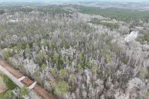 183 Rock Creek Rd, Flovilla, GA 30216 - Photo 8