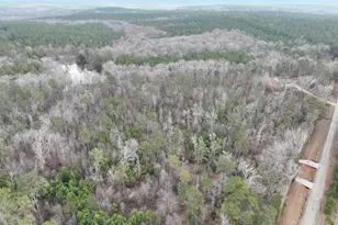 183 Rock Creek Rd, Flovilla, GA 30216 - Photo 6