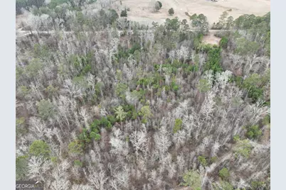 183 Rock Creek Road, Flovilla, GA 30216 - Photo 4