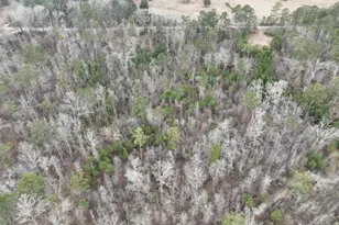 183 Rock Creek Rd, Flovilla, GA 30216 - Photo 4