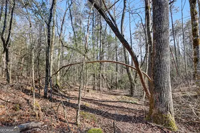 2761 Germany Road, Clayton, GA 30525 - Photo 56