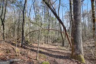 2761 Germany Rd, Clayton, GA 30525 - Photo 56