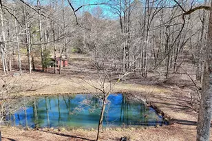 2761 Germany Rd, Clayton, GA 30525 - Photo 64