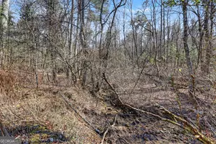 2761 Germany Rd, Clayton, GA 30525 - Photo 54