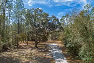 Tract 1 - 12321 Hwy 185, Saint George, GA 31562 - Photo 18