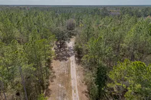 Tract 1 - 12321 Hwy 185, Saint George, GA 31562 - Photo 8