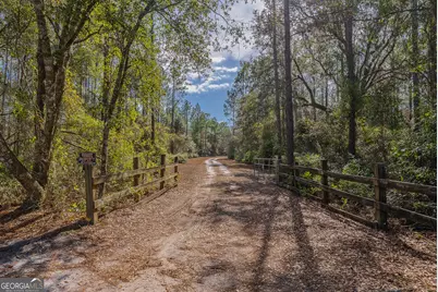 Tract 1 - 12321 Highway 185, Saint George, GA 31562 - Photo 20