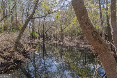 Tract 1 - 12321 Highway 185, Saint George, GA 31562 - Photo 44