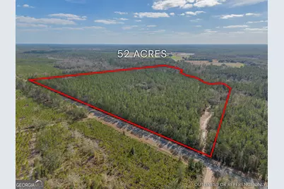 Tract 1 - 12321 Highway 185, Saint George, GA 31562 - Photo 1