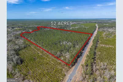 Tract 1 - 12321 Highway 185, Saint George, GA 31562 - Photo 2