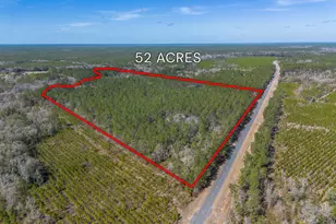 Tract 1 - 12321 Hwy 185, Saint George, GA 31562 - Photo 2