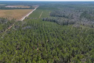 Tract 1 - 12321 Hwy 185, Saint George, GA 31562 - Photo 14