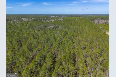 Tract 1 - 12321 Highway 185, Saint George, GA 31562 - Photo 12