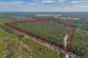 Tract 1 - 12321 Hwy 185, Saint George, GA 31562 - Photo 10
