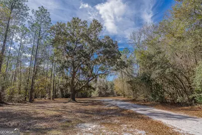 Tract 1 - 12321 Highway 185, Saint George, GA 31562 - Photo 14