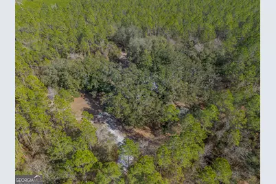 Tract 1 - 12321 Highway 185, Saint George, GA 31562 - Photo 16
