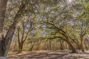 Tract 1 - 12321 Hwy 185, Saint George, GA 31562 - Photo 42