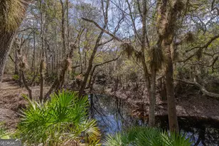 Tract 1 - 12321 Hwy 185, Saint George, GA 31562 - Photo 46