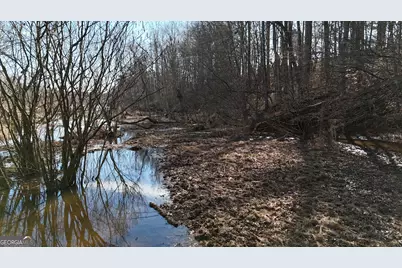 21 Jess Lane, Commerce, GA 30530 - Photo 42