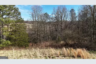 21 Jess Lane, Commerce, GA 30530 - Photo 44