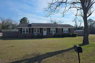 293 Williams St NE, Pelham, GA 31779 - Photo 1