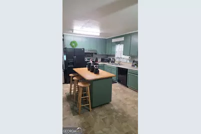 293 Williams Street NE, Pelham, GA 31779 - Photo 8