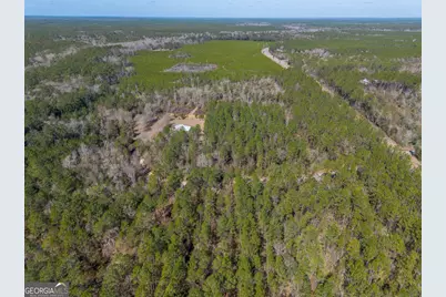 Tract 2 - 12321 Highway 185, Saint George, GA 31562 - Photo 12