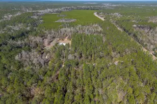 Tract 2 - 12321 Hwy 185, Saint George, GA 31562 - Photo 12