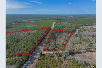 Tract 2 - 12321 Highway 185, Saint George, GA 31562 - Photo 14