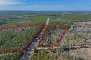 Tract 2 - 12321 Hwy 185, Saint George, GA 31562 - Photo 14