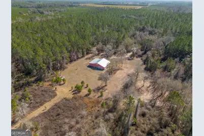 Tract 2 - 12321 Highway 185, Saint George, GA 31562 - Photo 6