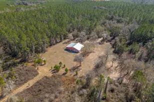 Tract 2 - 12321 Hwy 185, Saint George, GA 31562 - Photo 6