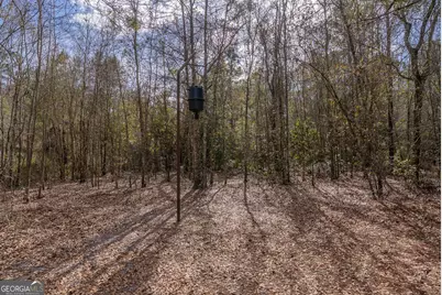 Tract 2 - 12321 Highway 185, Saint George, GA 31562 - Photo 14