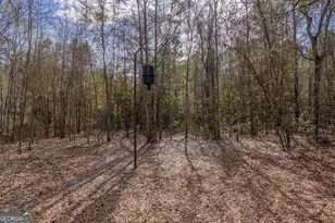 Tract 2 - 12321 Hwy 185, Saint George, GA 31562 - Photo 14