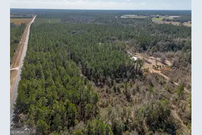 Tract 2 - 12321 Highway 185, Saint George, GA 31562 - Photo 10