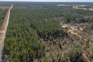 Tract 2 - 12321 Hwy 185, Saint George, GA 31562 - Photo 10