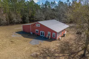 Tract 2 - 12321 Hwy 185, Saint George, GA 31562 - Photo 4