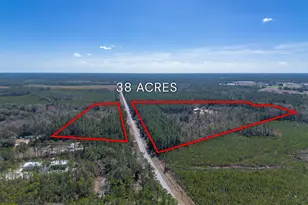 Tract 2 - 12321 Hwy 185, Saint George, GA 31562 - Photo 10