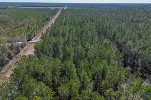 Tract 2 - 12321 Hwy 185, Saint George, GA 31562 - Photo 12