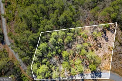 0 Mountain Laurel, Mineral Bluff, GA 30559 - Photo 1