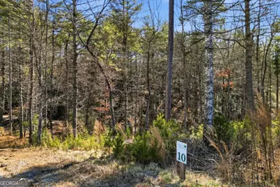 0 Mountain Laurel, Mineral Bluff, GA 30559 - Photo 10